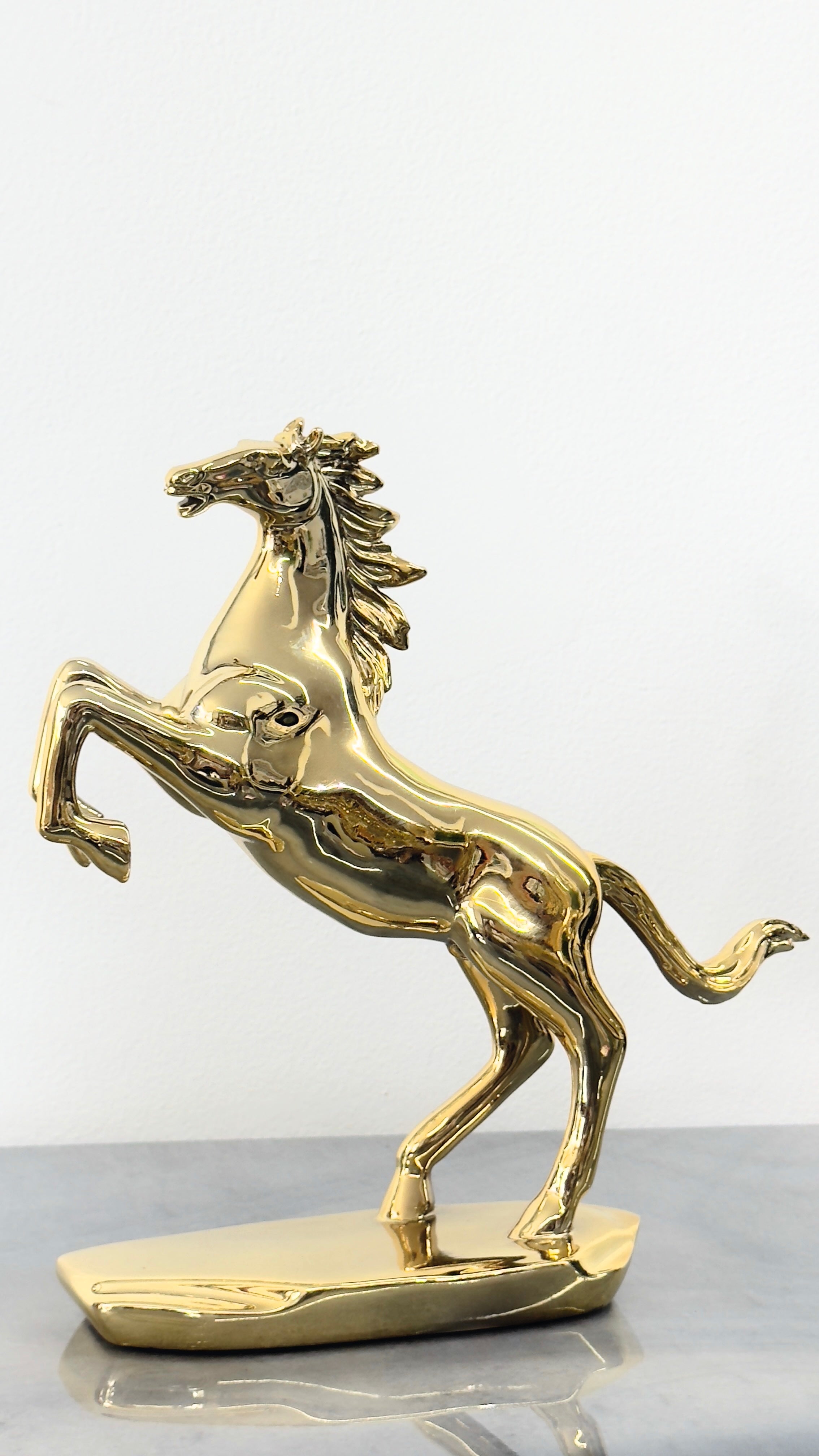 Metal Horse - Living and Bathroom