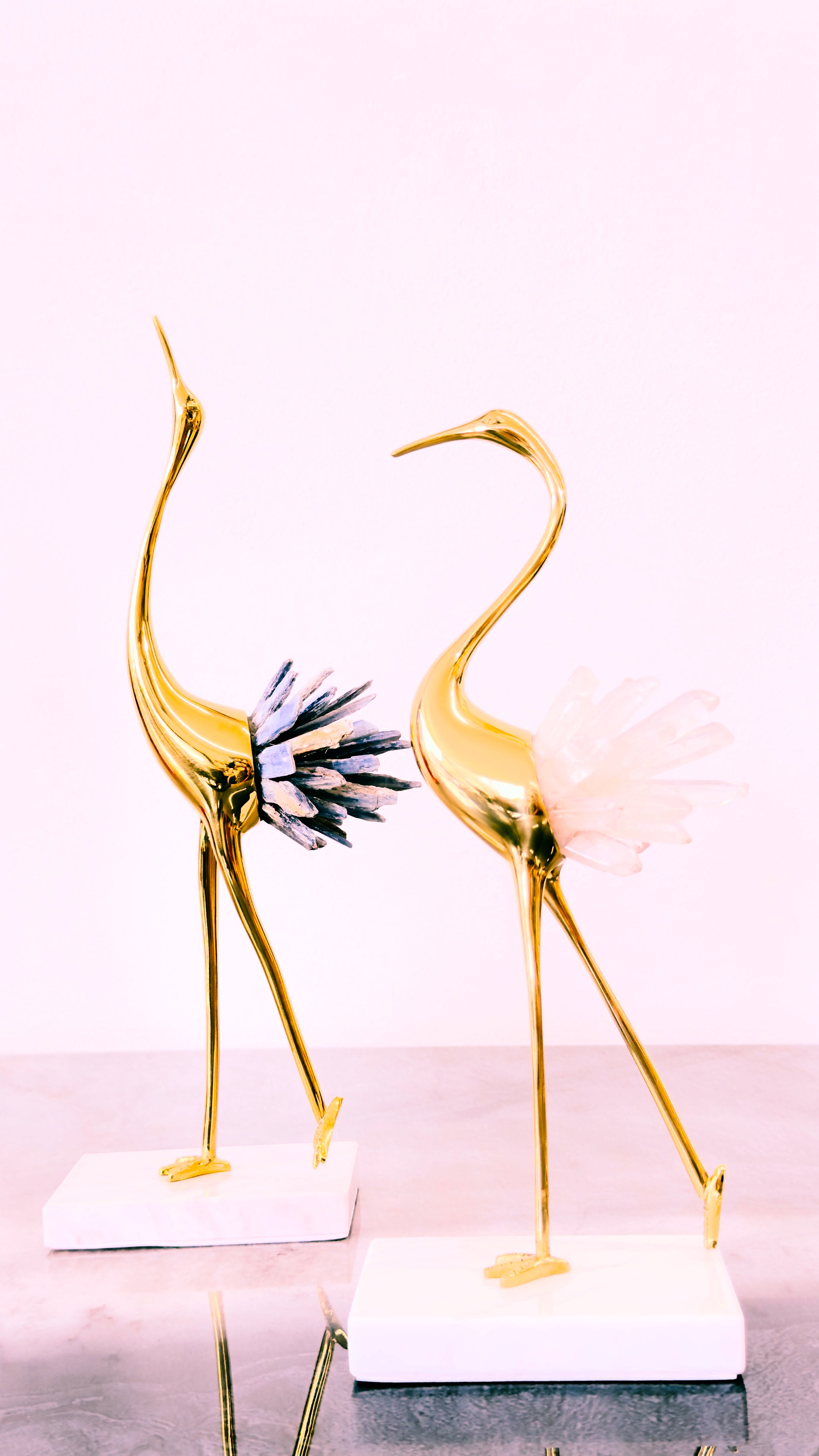 Metallic Couple of Bird - Living and Bathroom