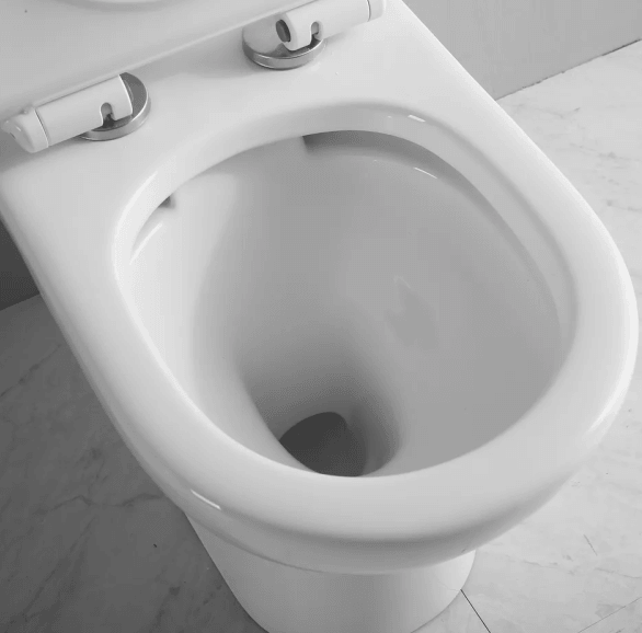 Rimless Toilets - Living and Bathroom