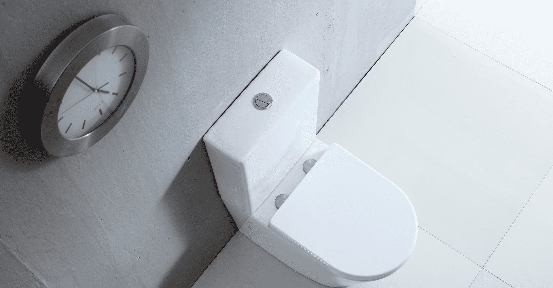 London Back To Wall Rimless Toilet Suite - Living and Bathroom