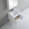 Polar P63WH