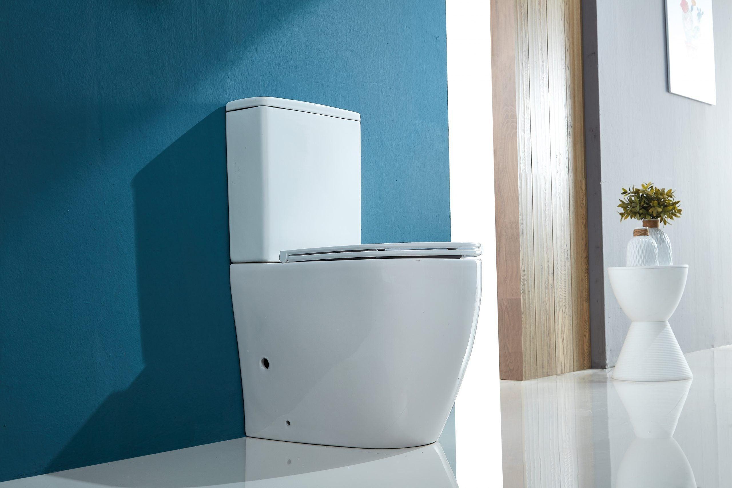 Cera Back To Wall Rimless Toilet Suite - Living and Bathroom