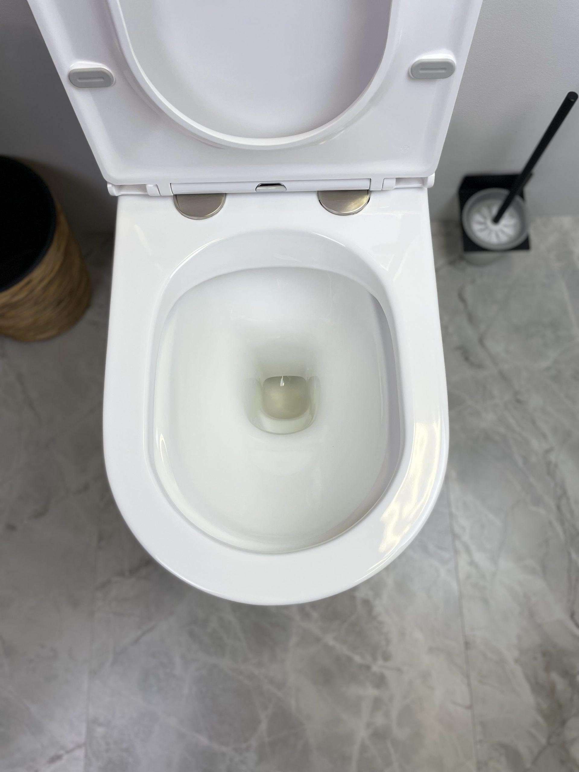 Cera Back To Wall Rimless Toilet Suite - Living and Bathroom