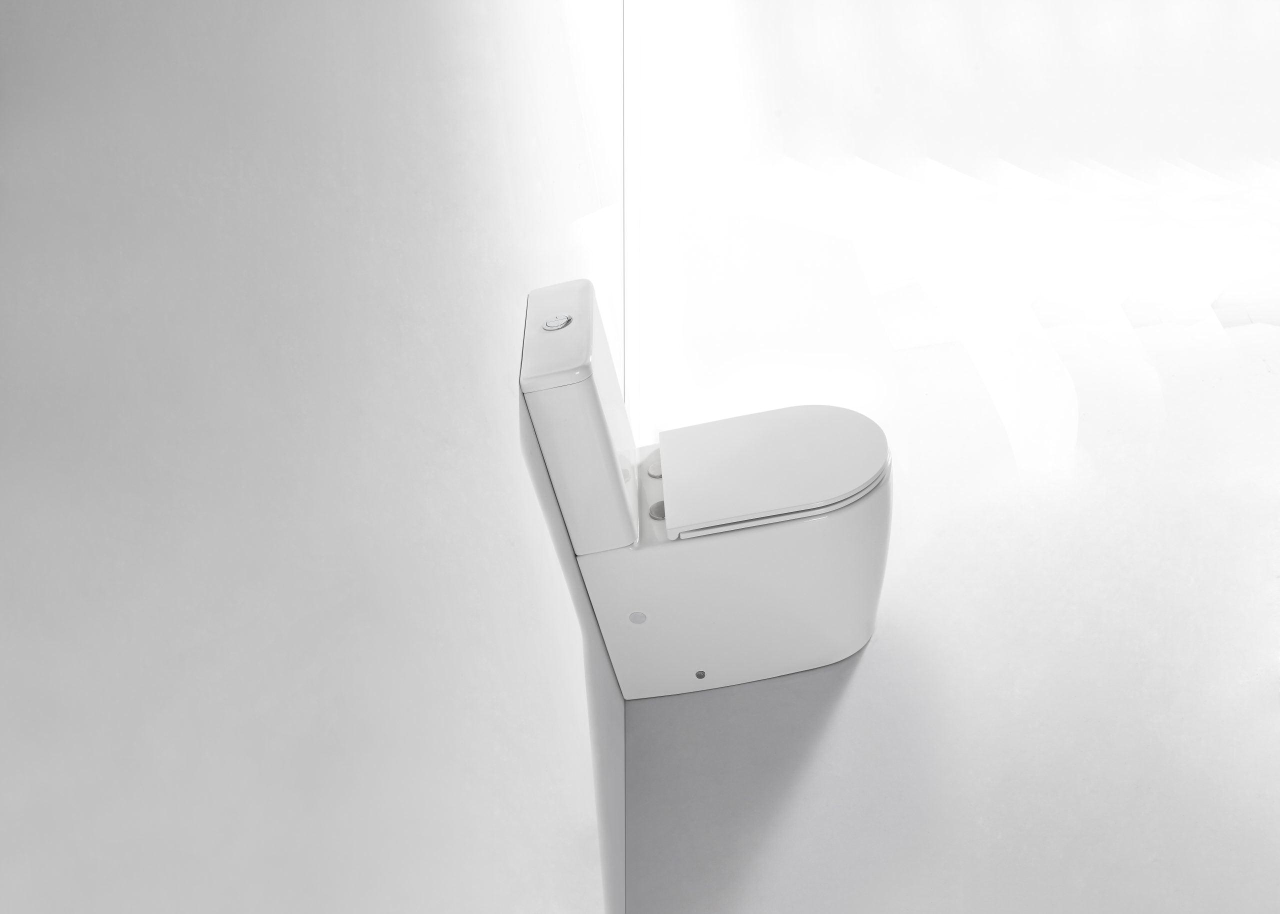 London Back To Wall Rimless Toilet Suite - Living and Bathroom