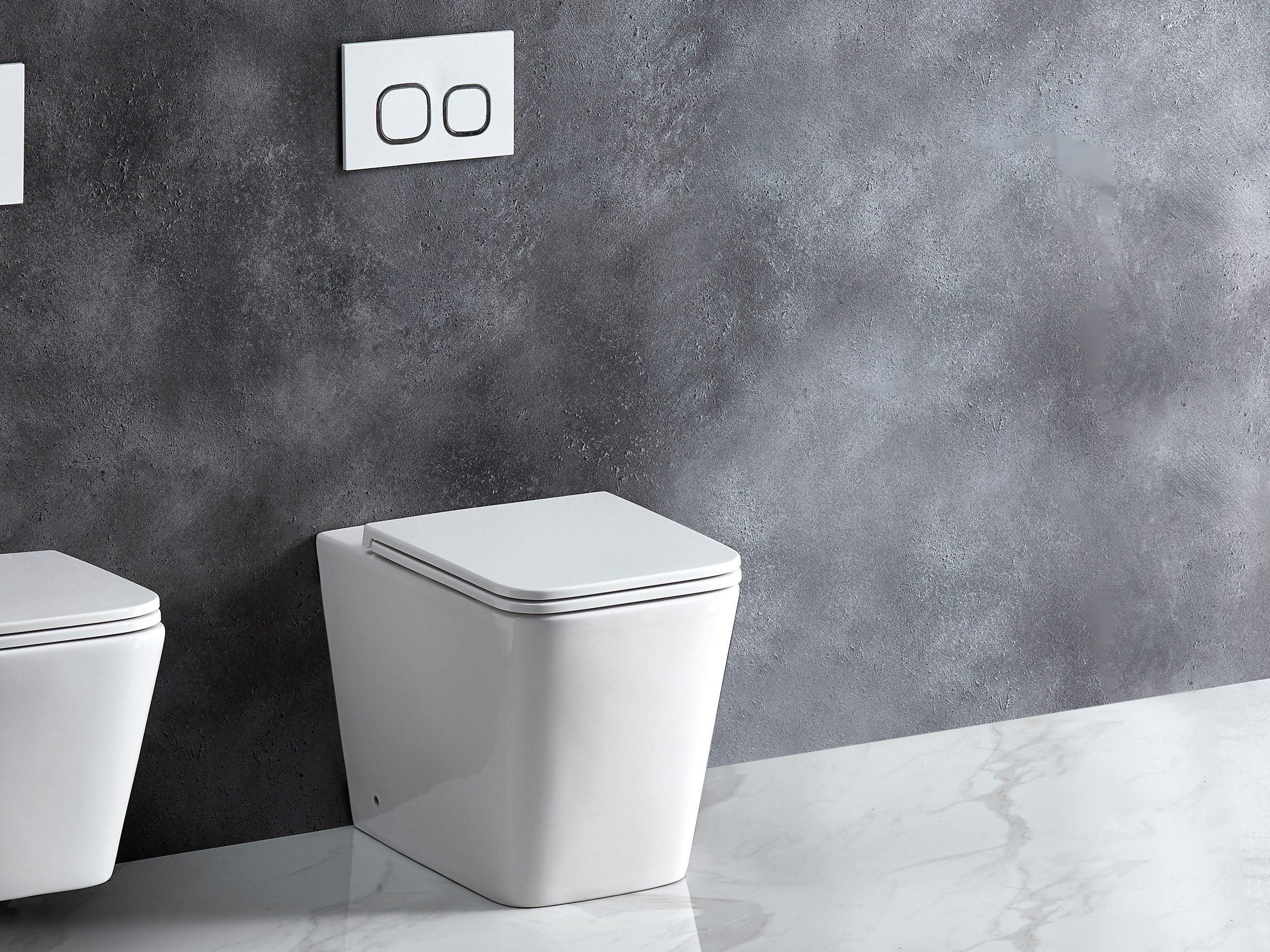 ENOX Rimless In Wall Toilet Suite Pan - Living and Bathroom