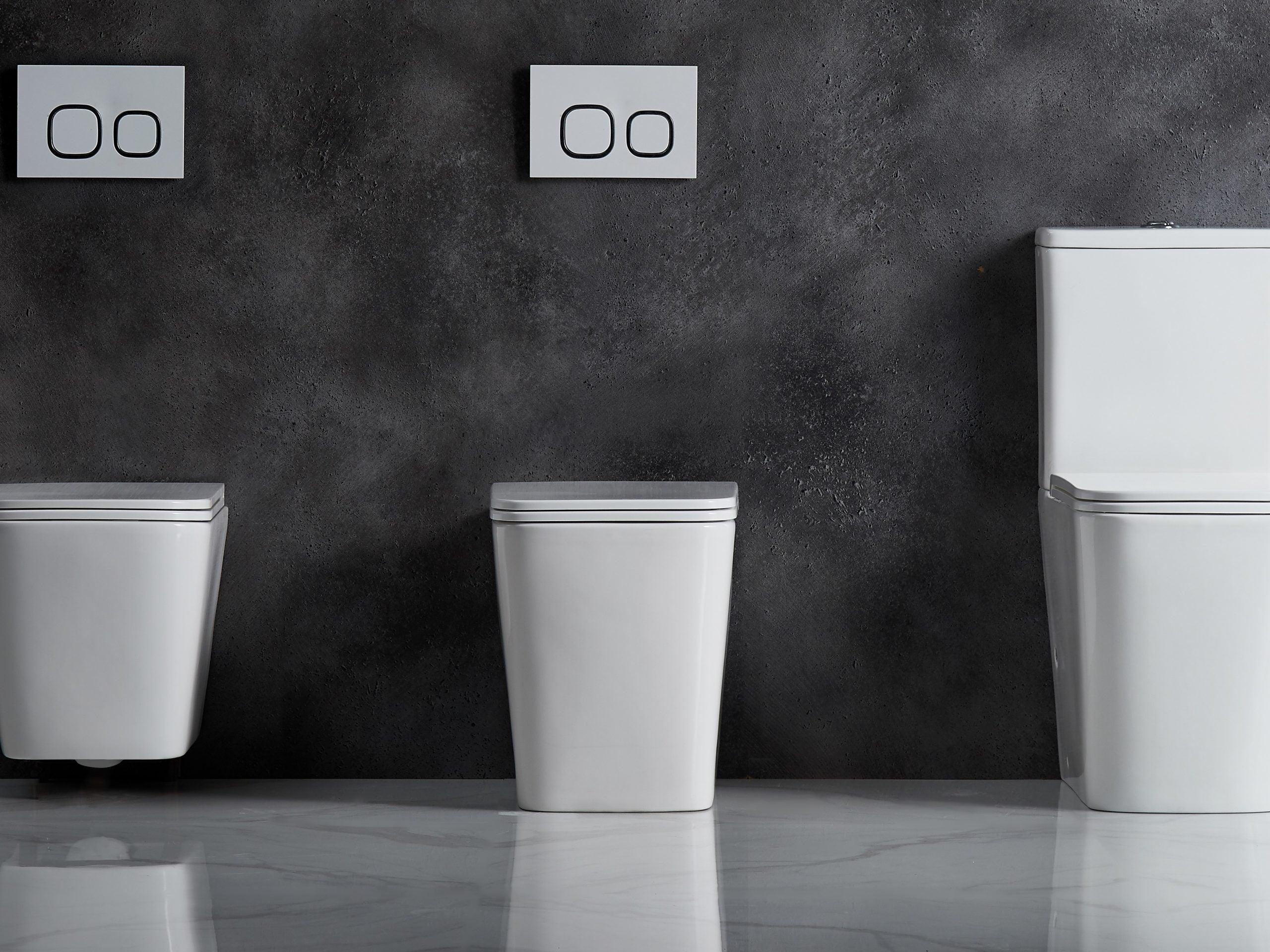 ENOX Rimless In Wall Toilet Suite Pan - Living and Bathroom