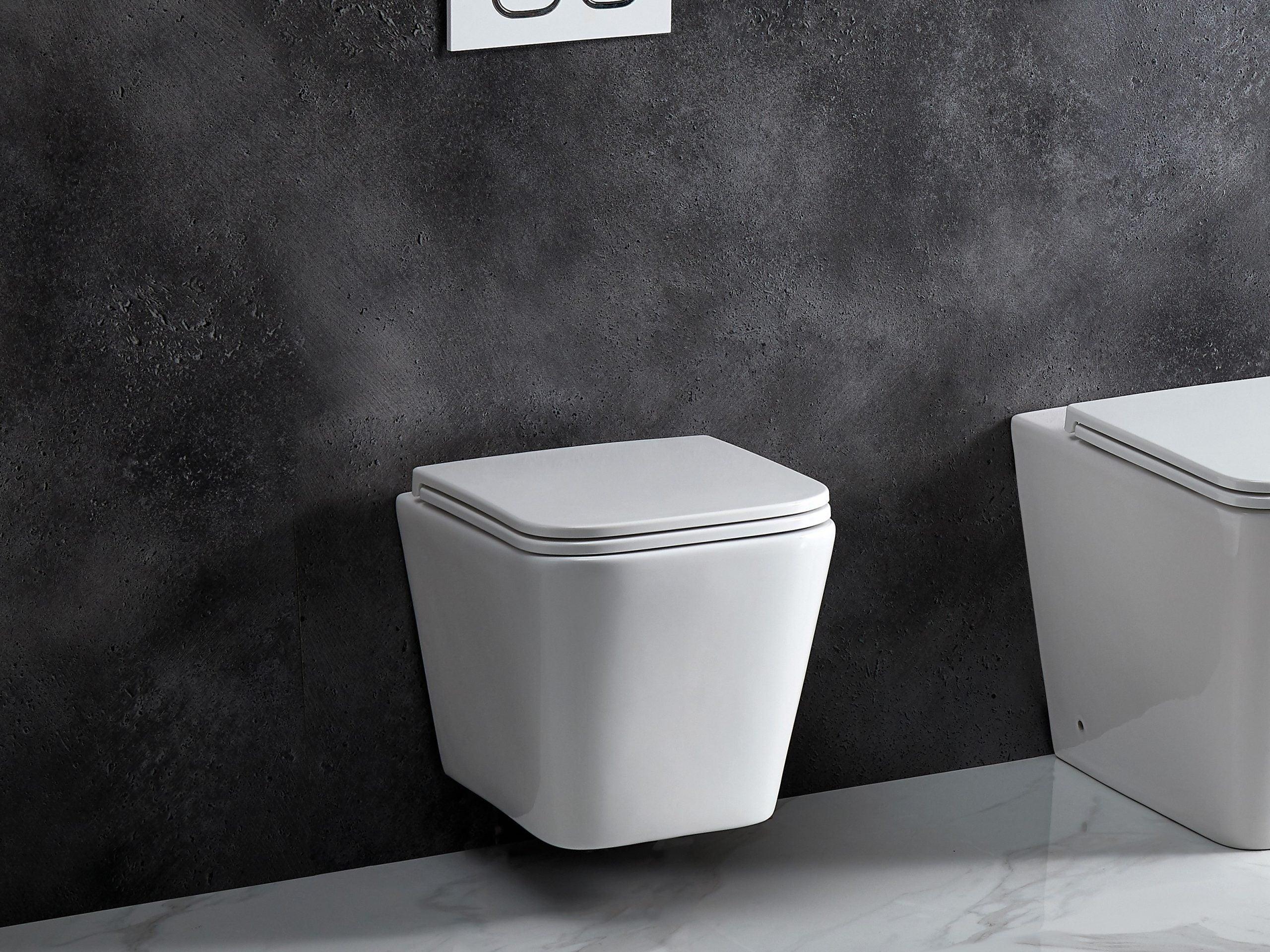 ENOX Wall Hung Rimless In Wall Toilet Suite Pan - Living and Bathroom