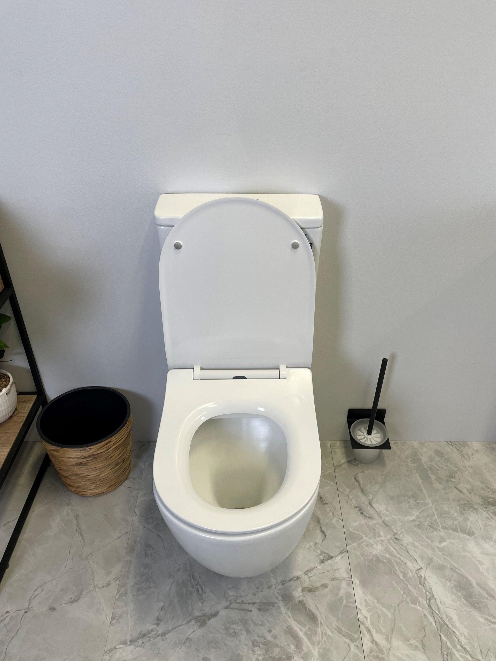 Hani Back To Wall Rimless Toilet Suite - Living and Bathroom