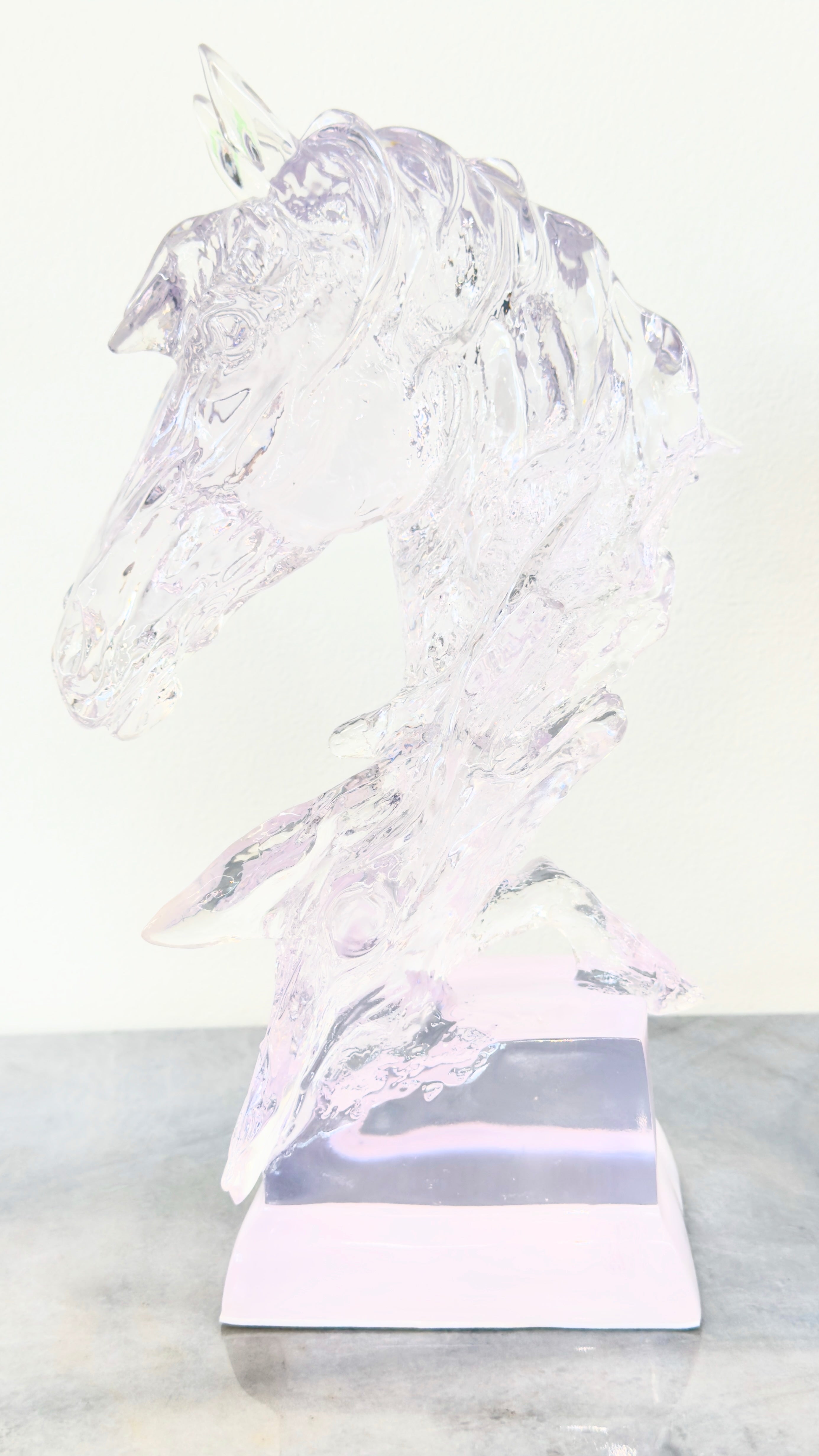 Glass Horse Black And Clear - Living and Bathroom