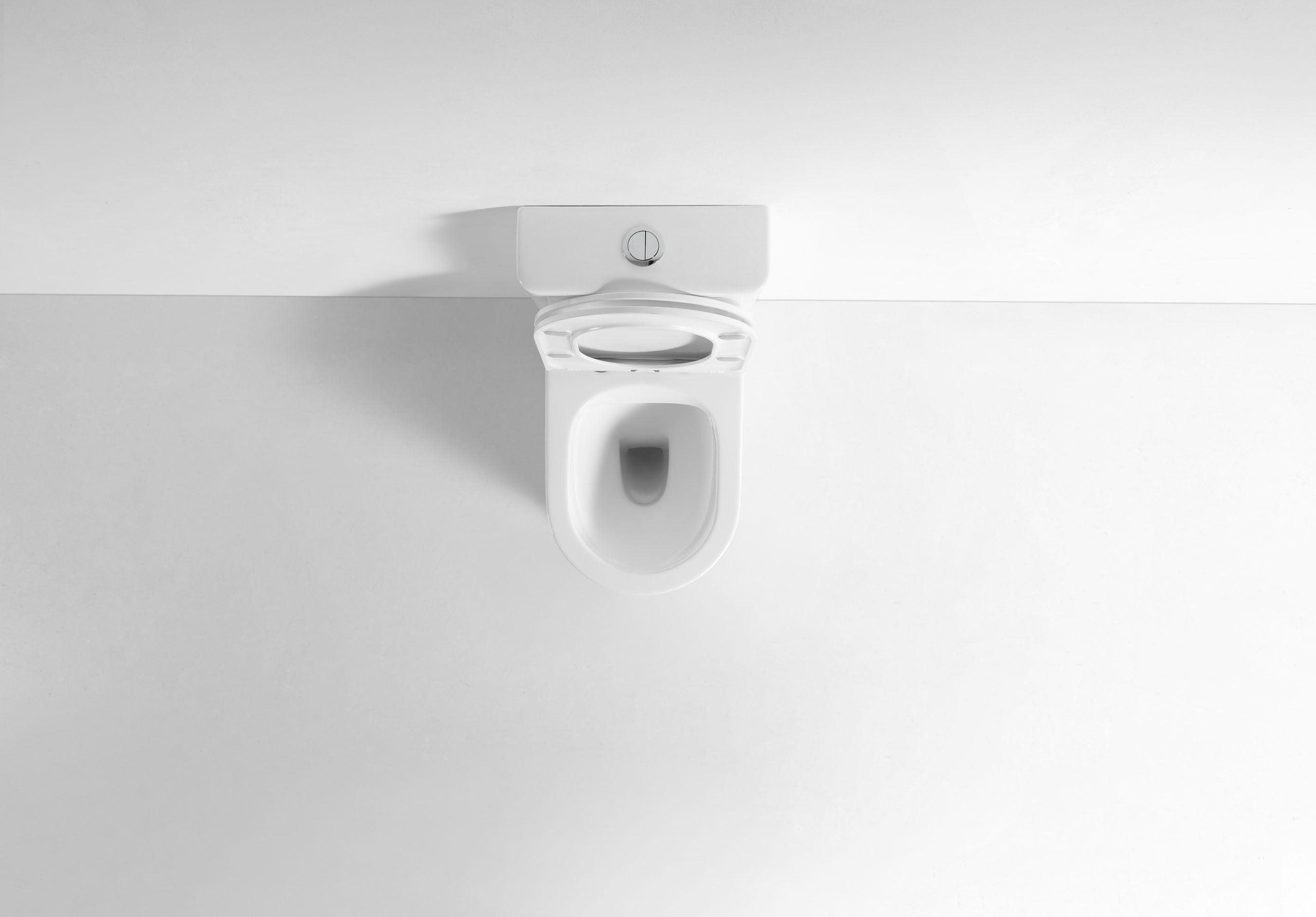 Walton Back To Wall Quite Flush(Rimless+Tornado) Toilet Suite - Living and Bathroom