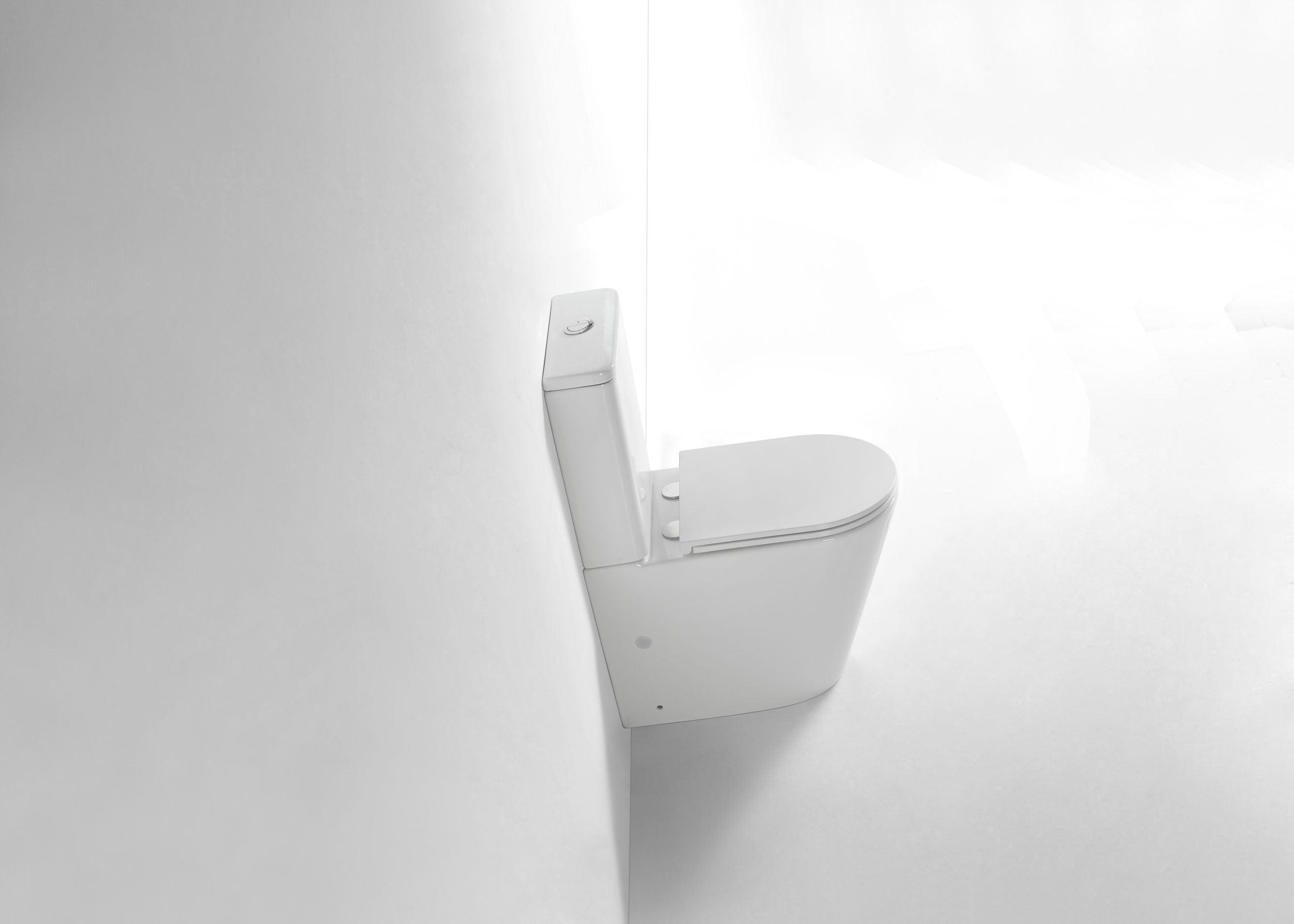 Walton Back To Wall Quite Flush(Rimless+Tornado) Toilet Suite - Living and Bathroom