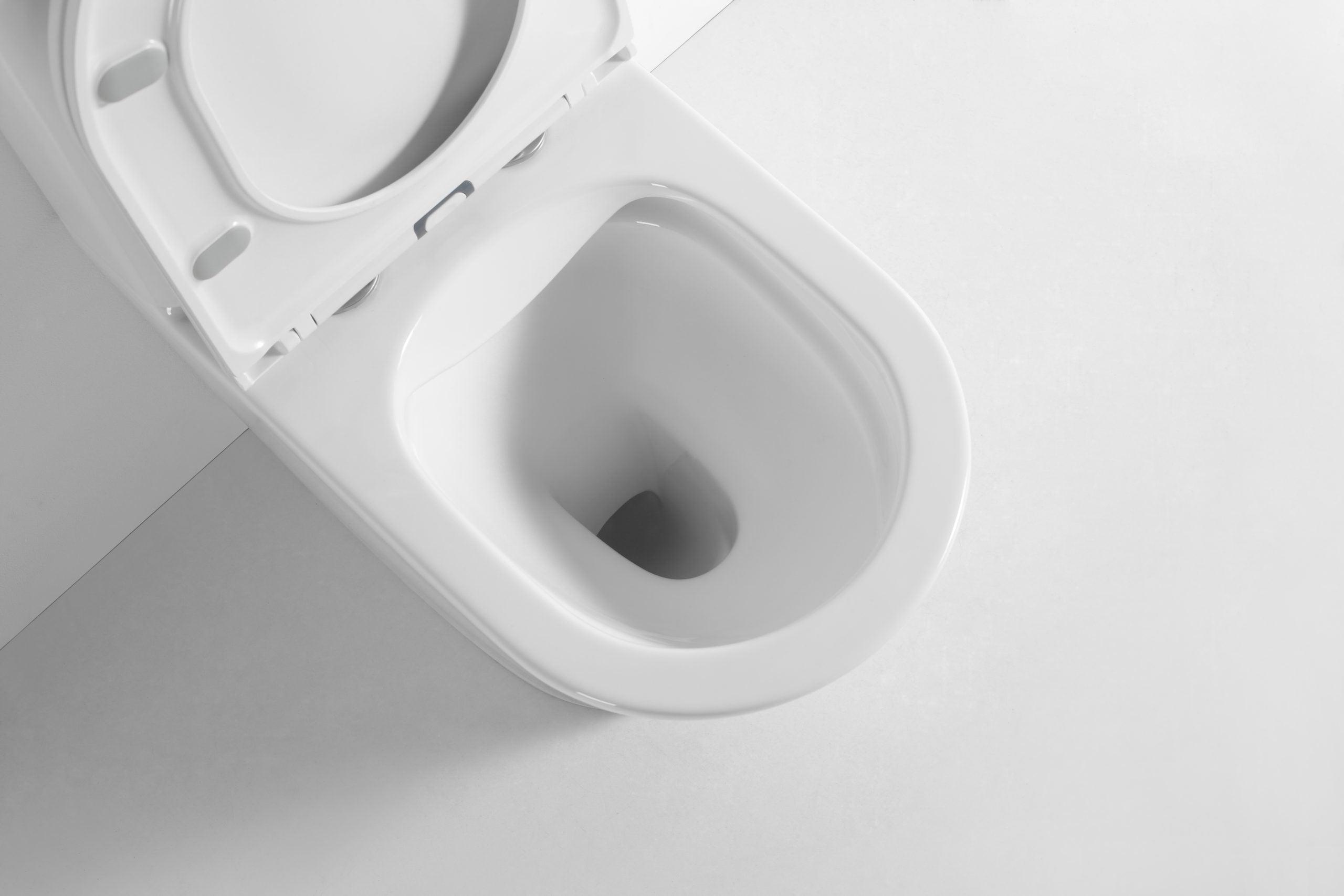 London Back To Wall Rimless Toilet Suite - Living and Bathroom