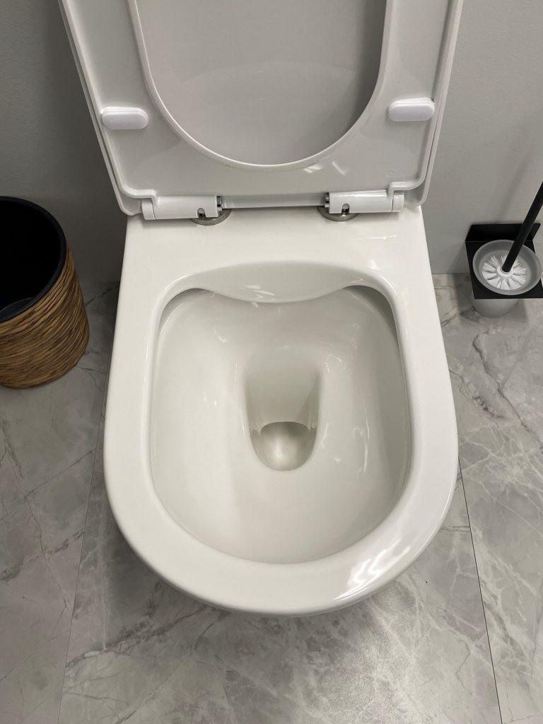 Moi Back To Wall Rimless Toilet Suite - Living and Bathroom