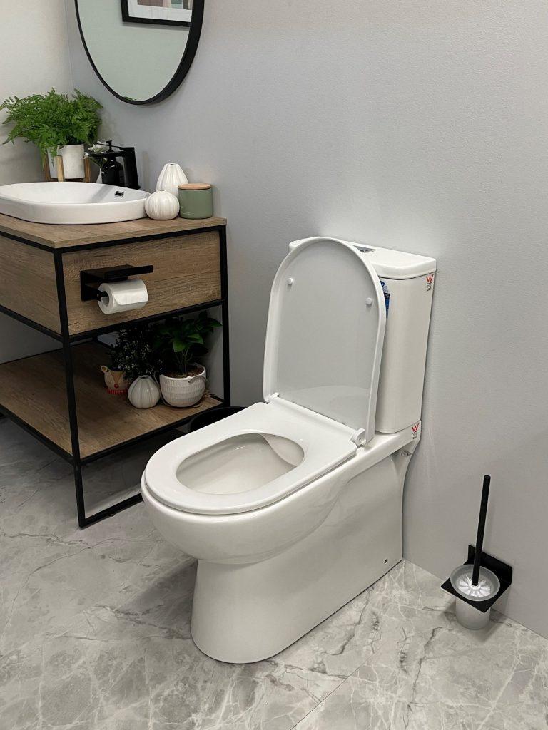 Moi Back To Wall Rimless Toilet Suite - Living and Bathroom