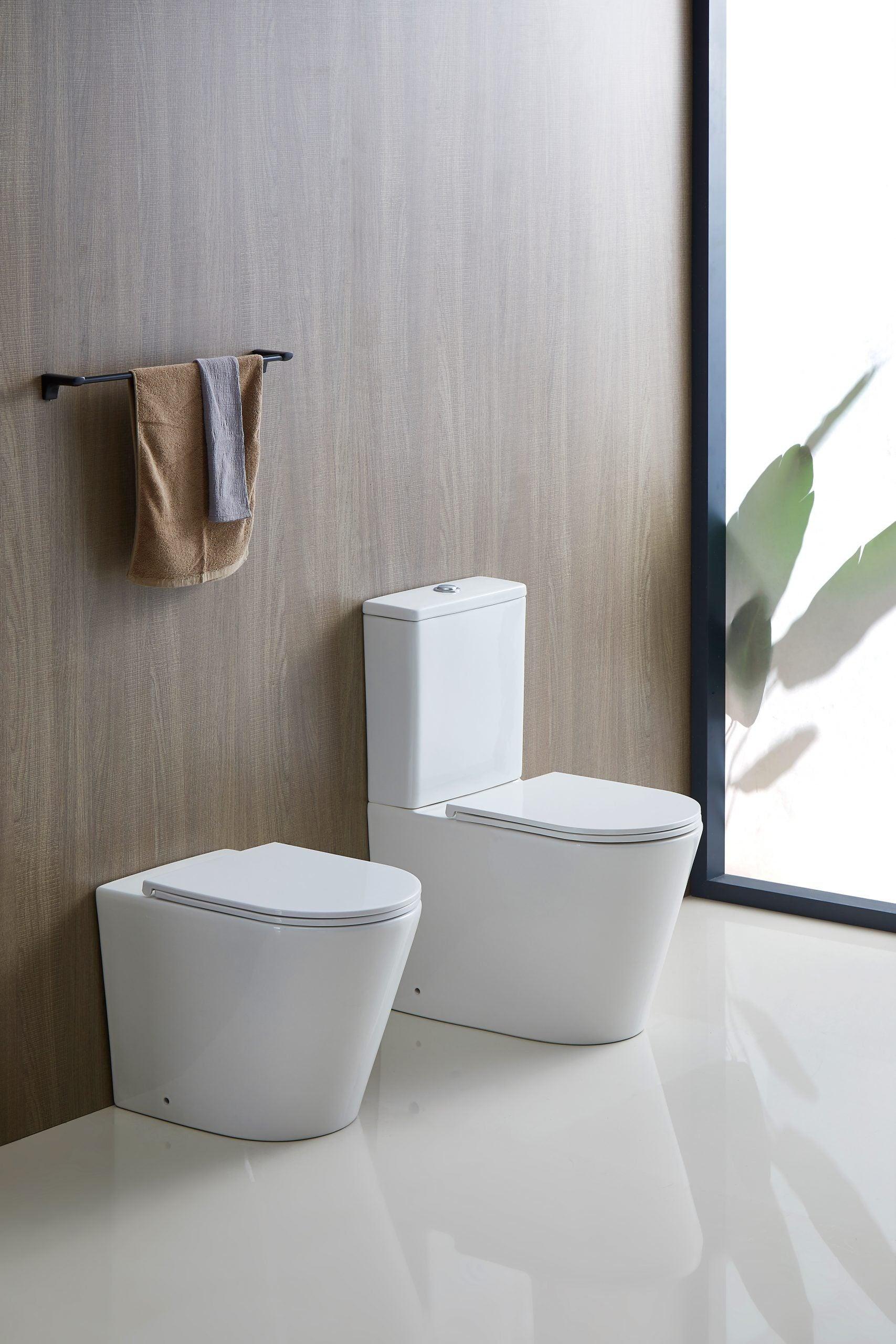Berlin Back To Wall Quite Flush(Rimless+Tornado) Toilet Suite - Living and Bathroom