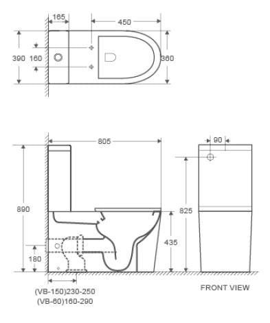 PANI CARE Rimless Accessible Toilet With Slim Duraplas seat cover - Living and Bathroom