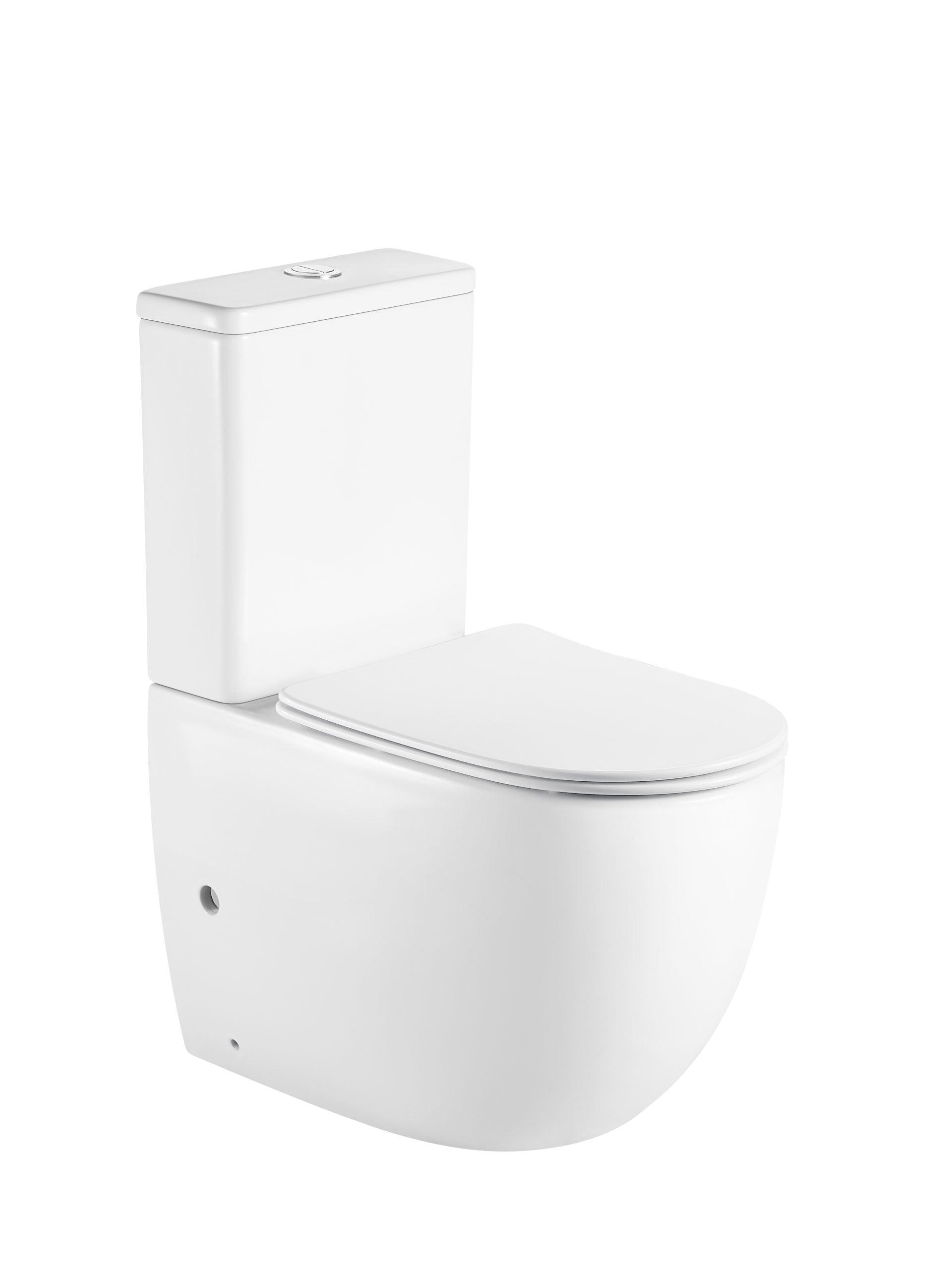 Cera Back To Wall Rimless Toilet Suite - Living and Bathroom