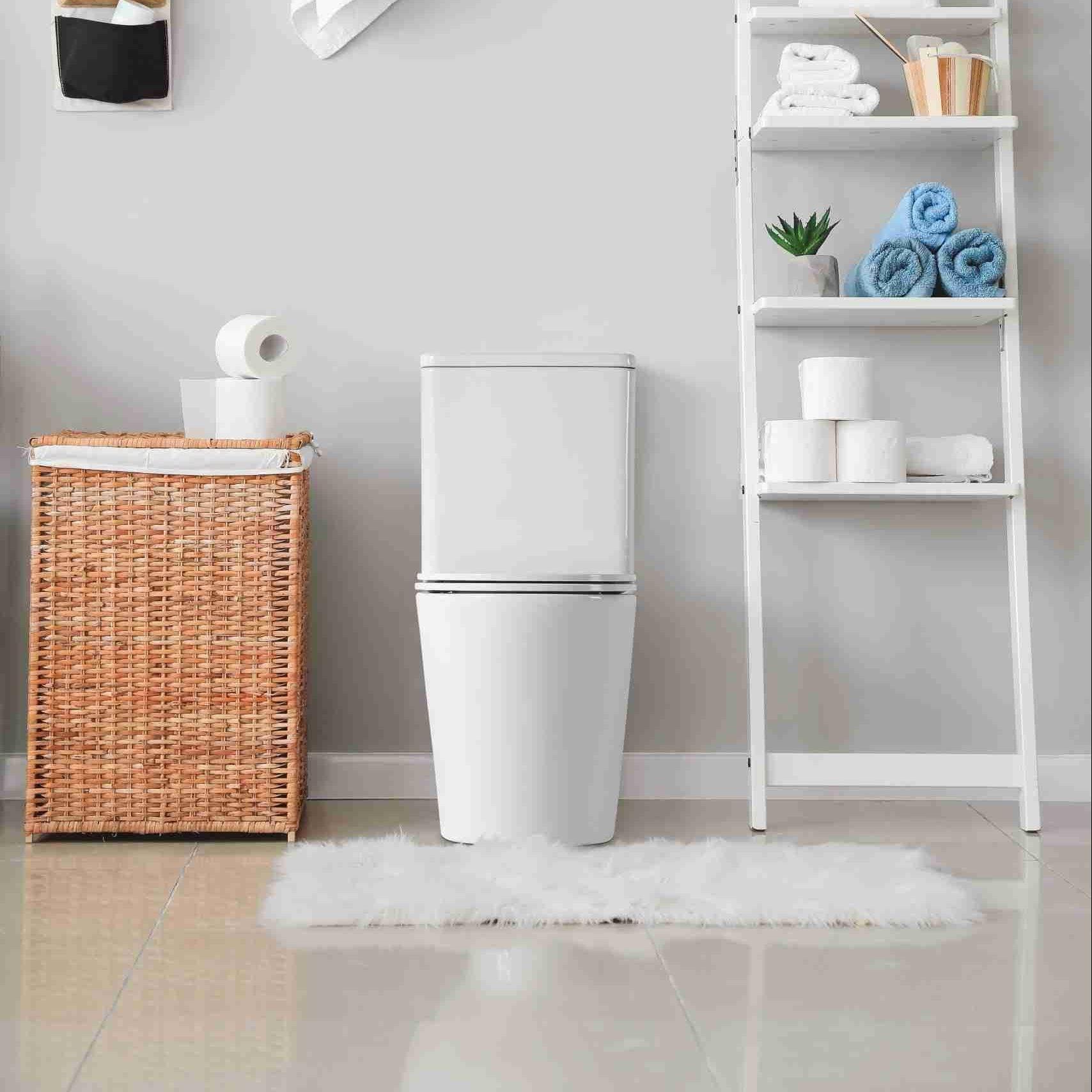 Berlin Back To Wall Quite Flush(Rimless+Tornado) Matt White Toilet Suite - Living and Bathroom
