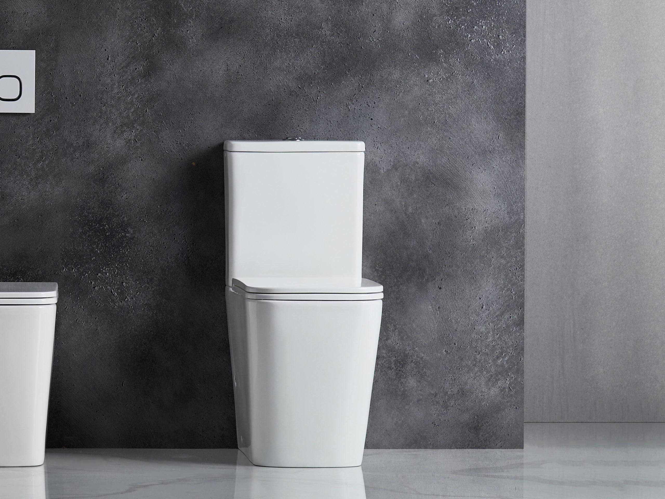 Enox Back To Wall Rimless Toilet Suite - Living and Bathroom