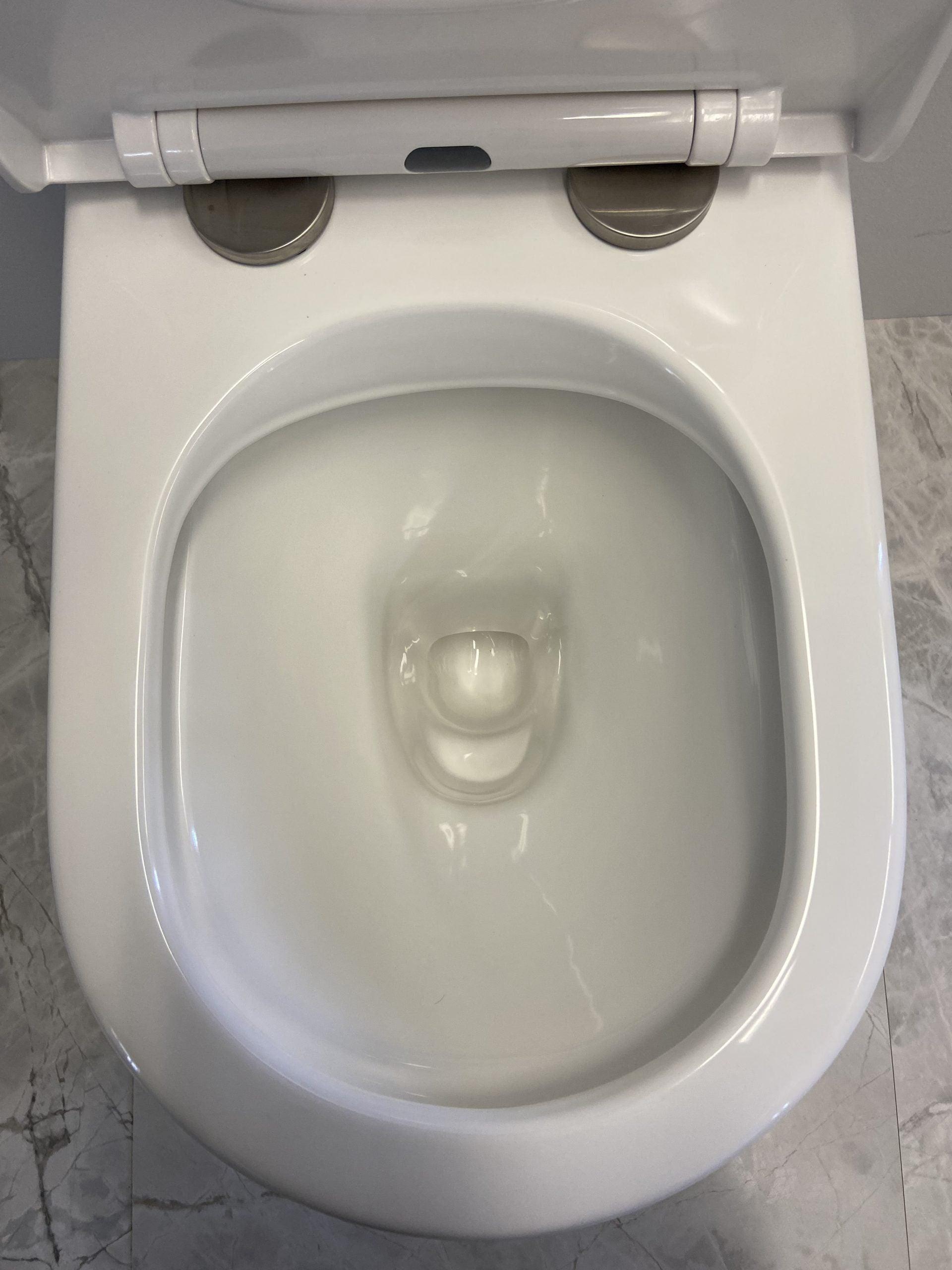 RAUL Rimless In Wall Toilet Suite Pan - Living and Bathroom