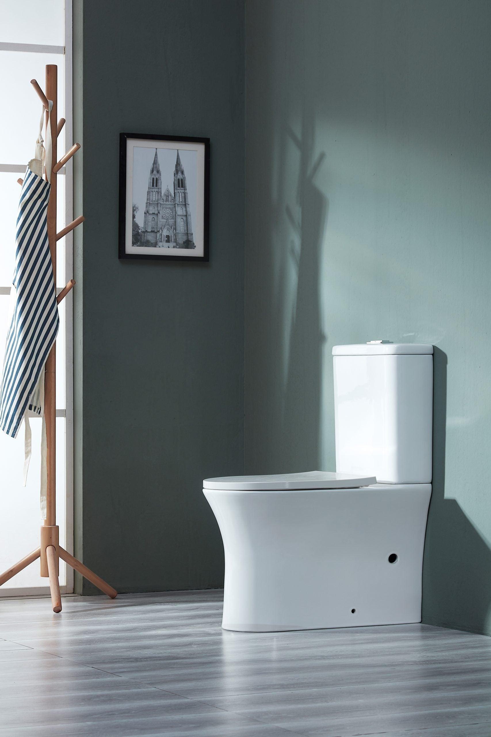 Toi Back To Wall Rimless Toilet Suite - Living and Bathroom