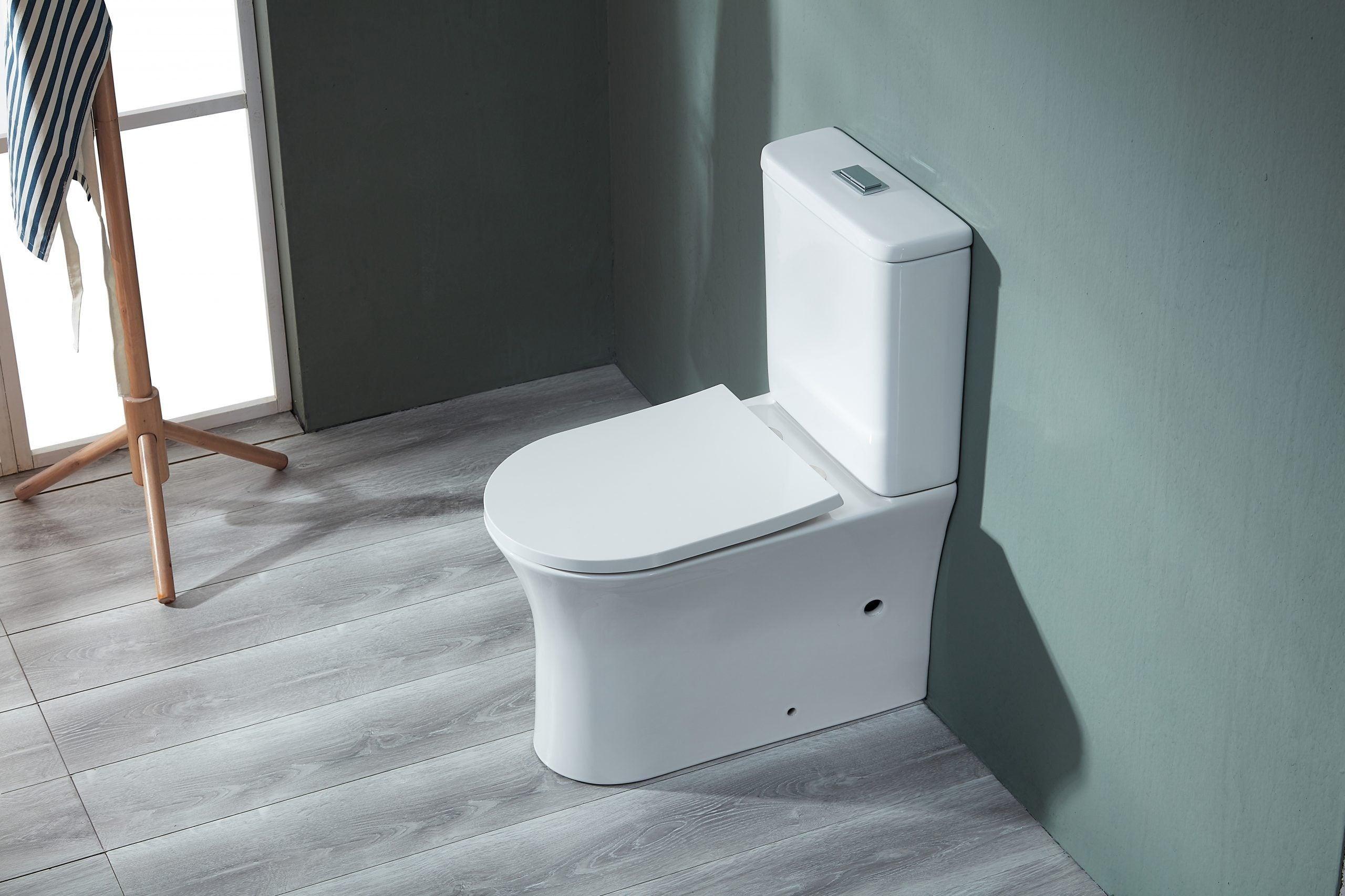 Toi Back To Wall Rimless Toilet Suite - Living and Bathroom