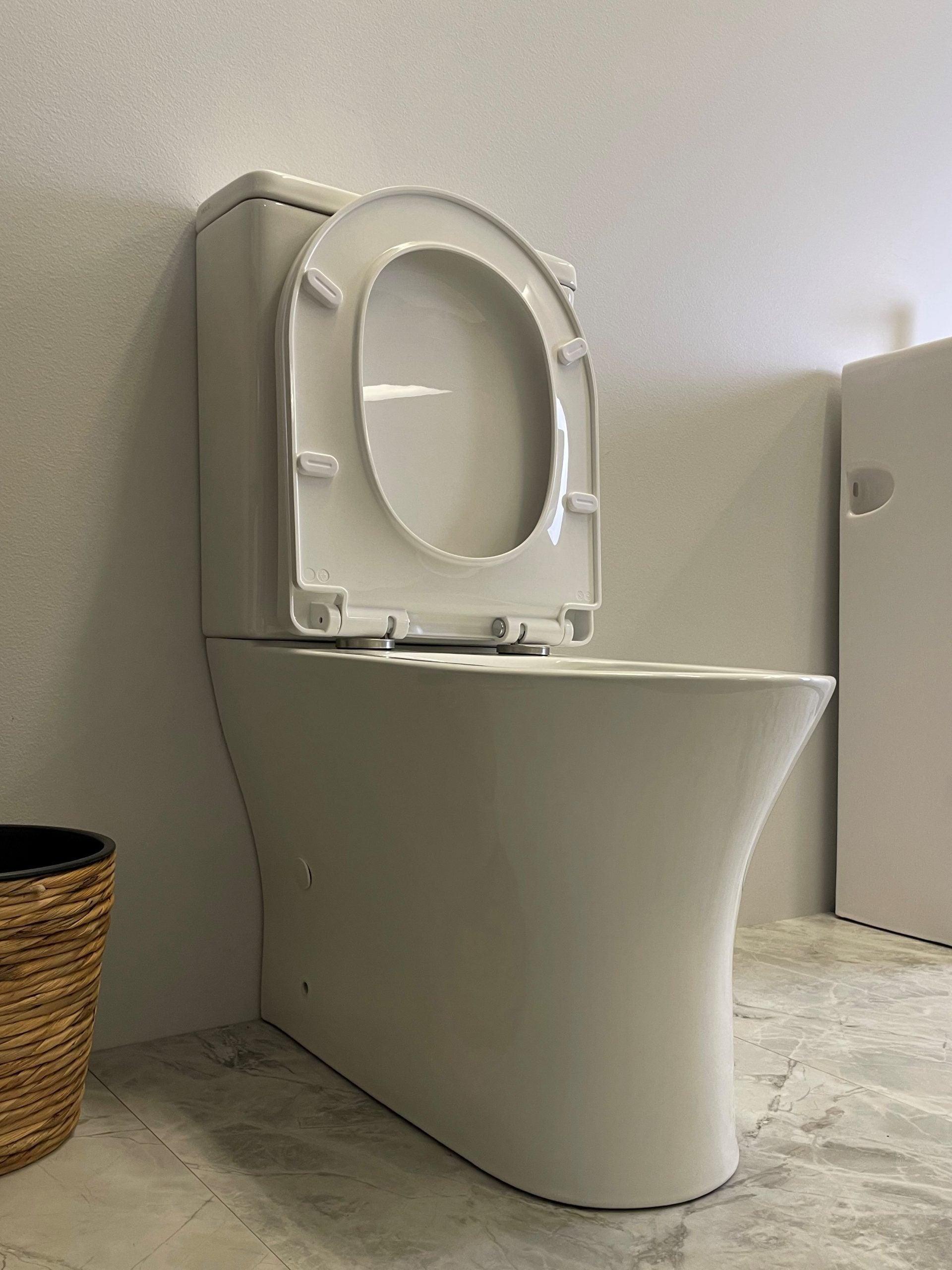 Toi Back To Wall Rimless Toilet Suite - Living and Bathroom