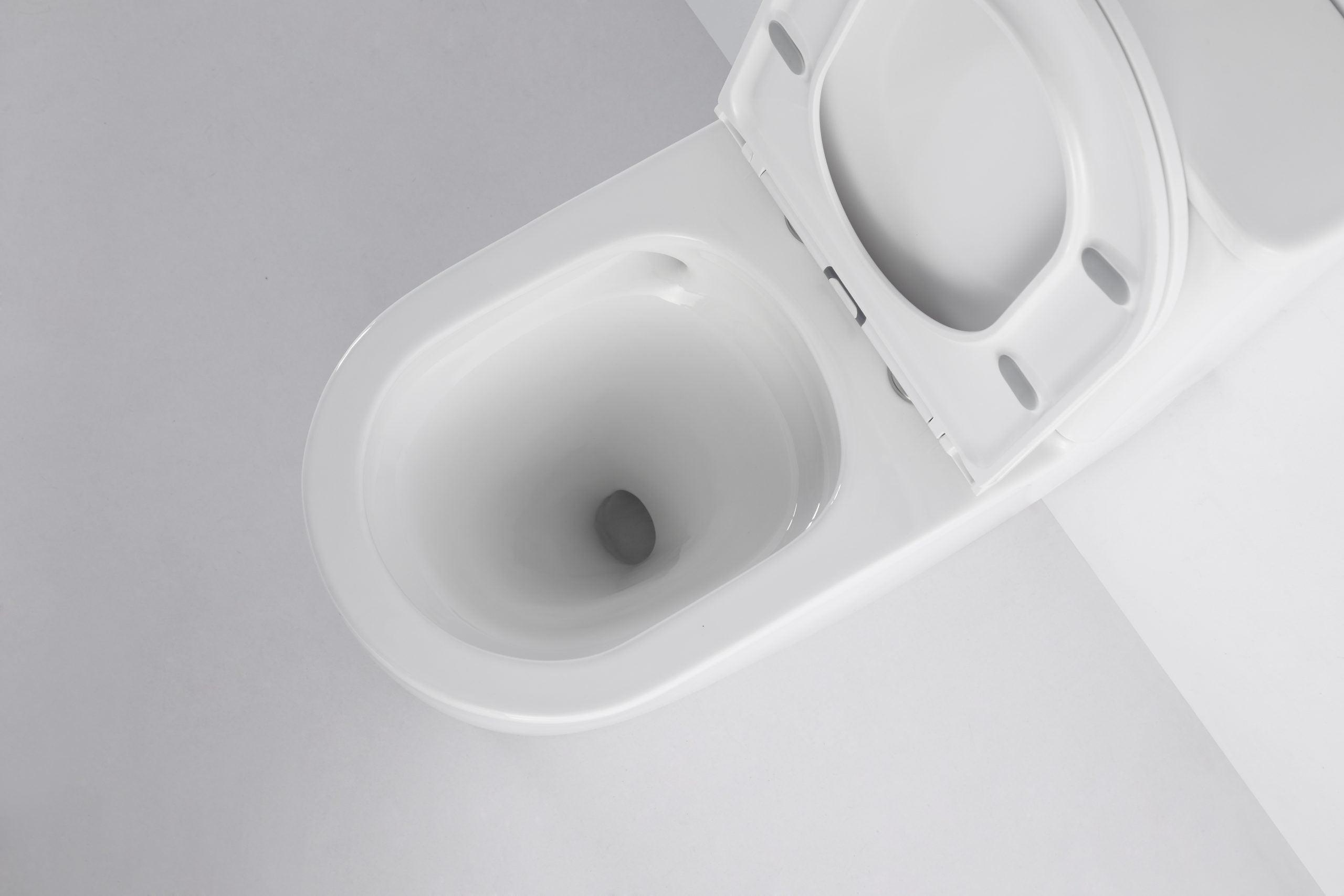 Walton Back To Wall Quite Flush(Rimless+Tornado) Toilet Suite - Living and Bathroom