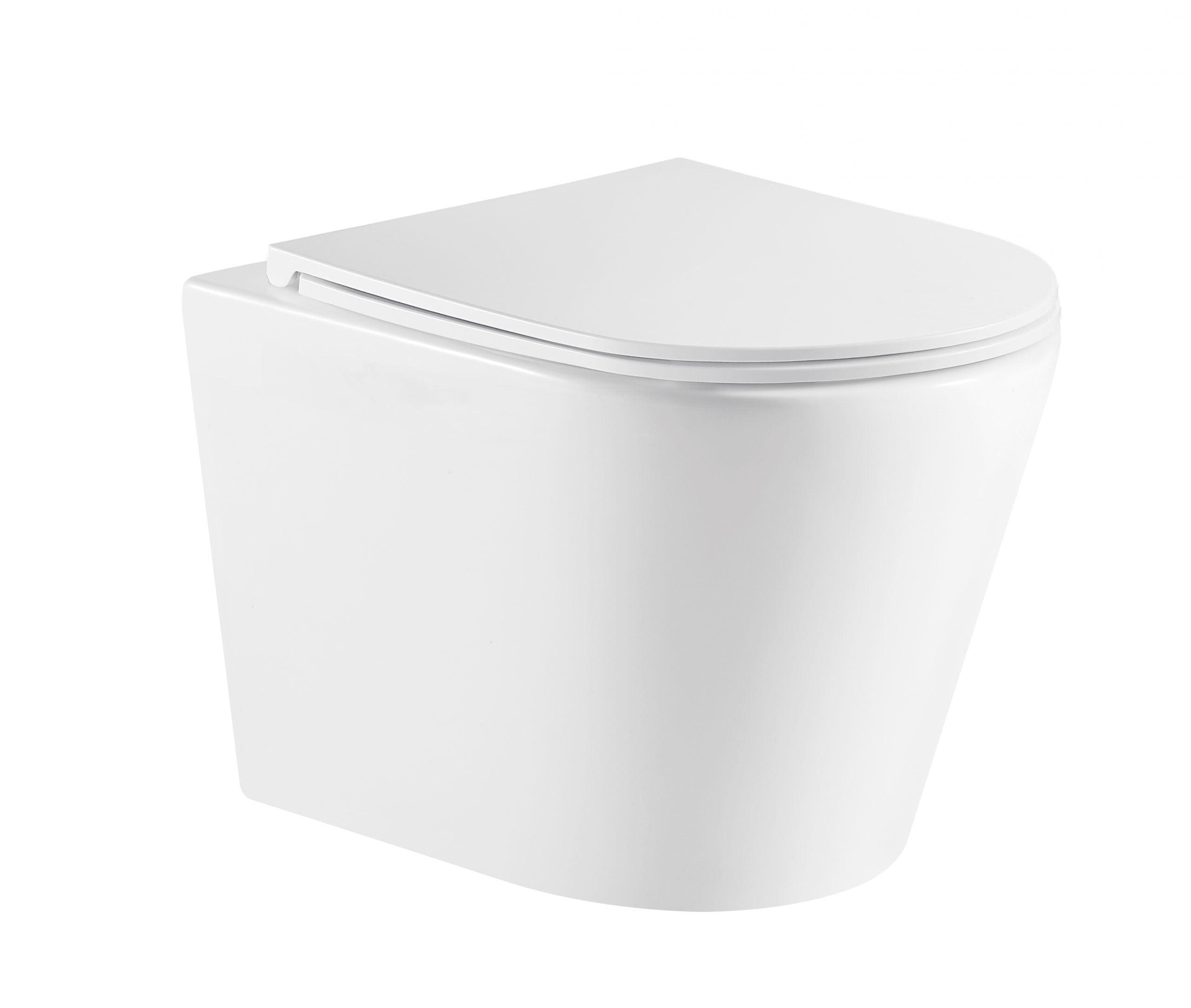 ZARA Wall Hung Rimless In Wall Toilet Suite Pan - Living and Bathroom
