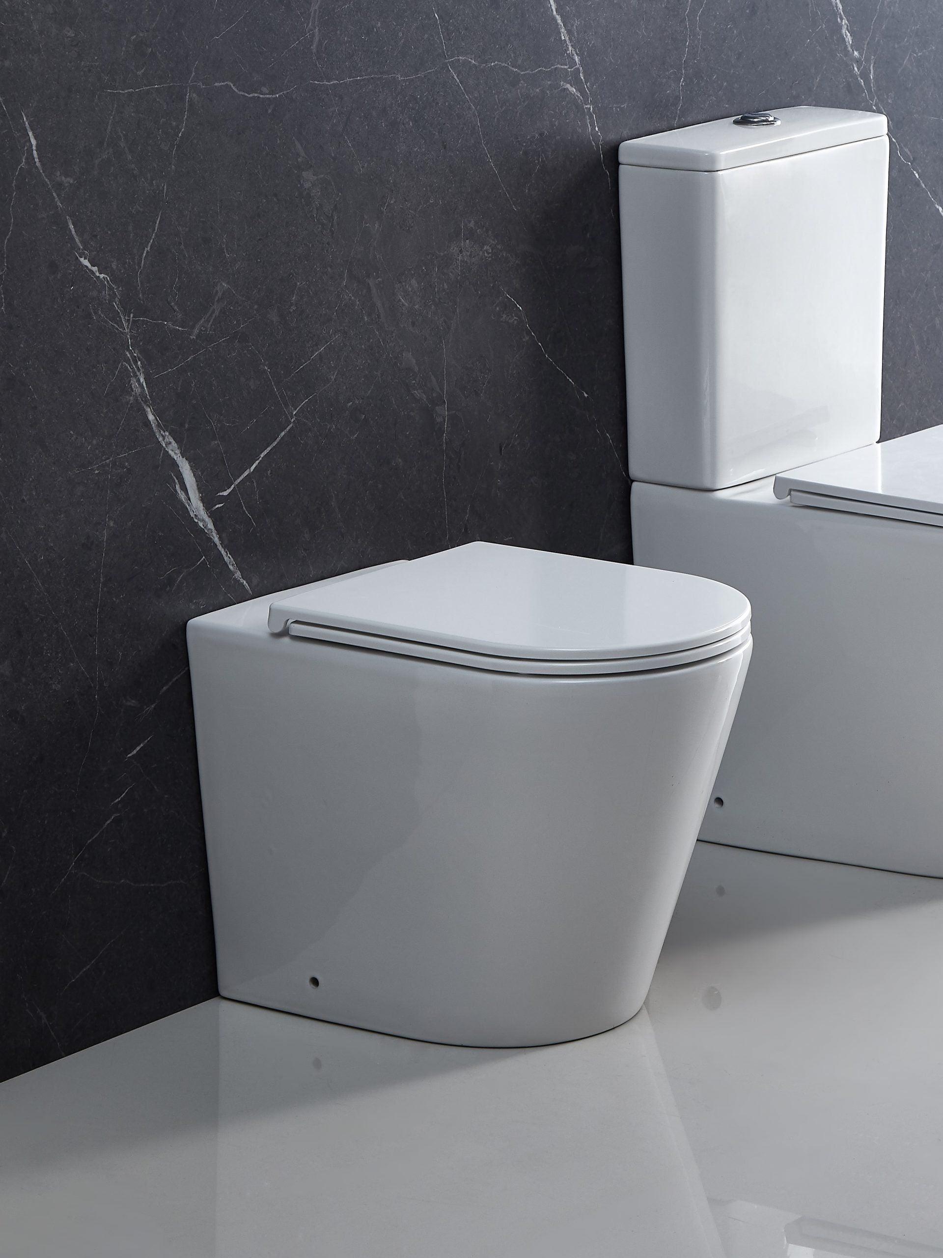 ZARA Rimless In Wall Toilet Suite Pan - Living and Bathroom