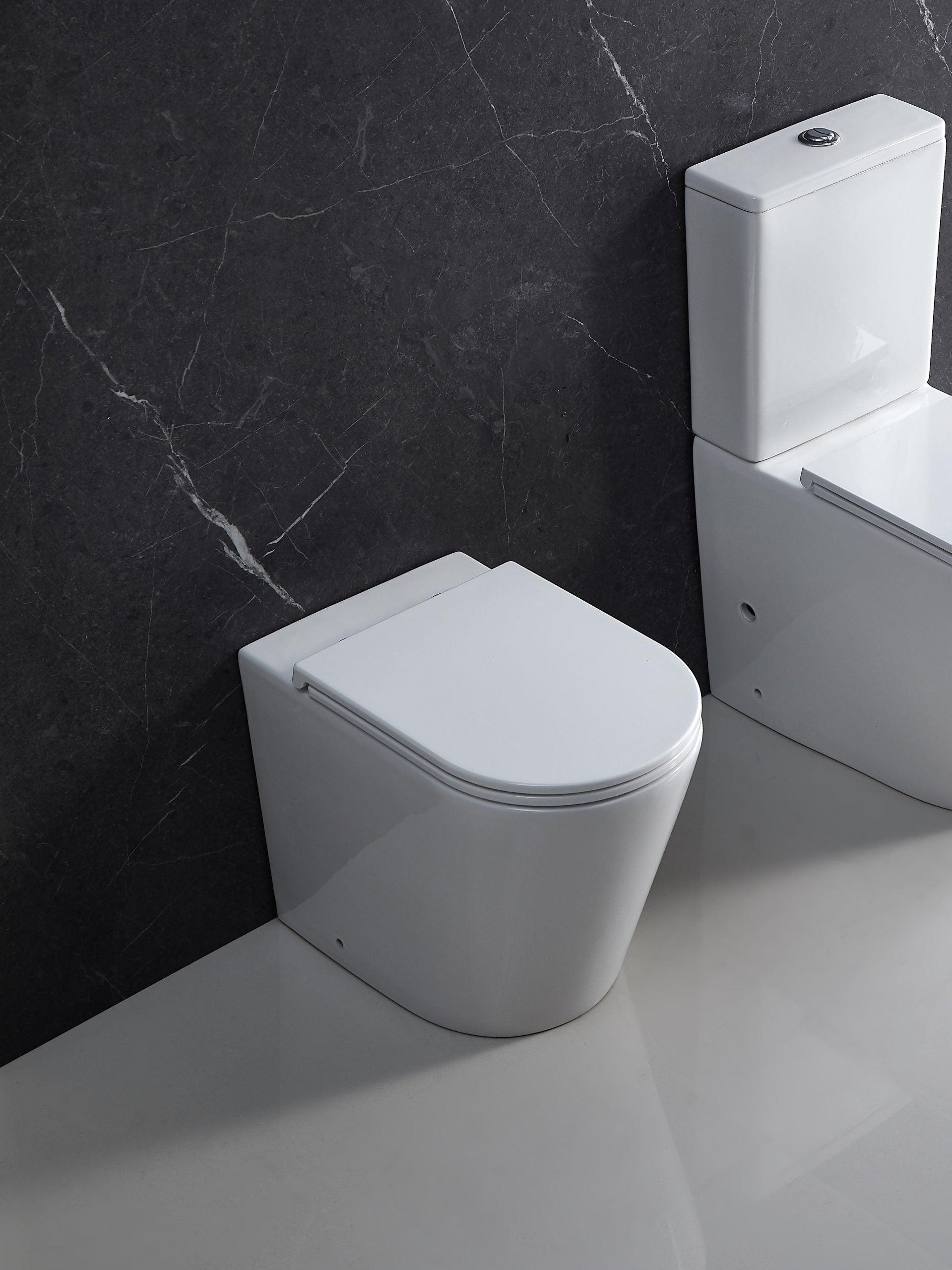 ZARA Rimless In Wall Toilet Suite Pan - Living and Bathroom