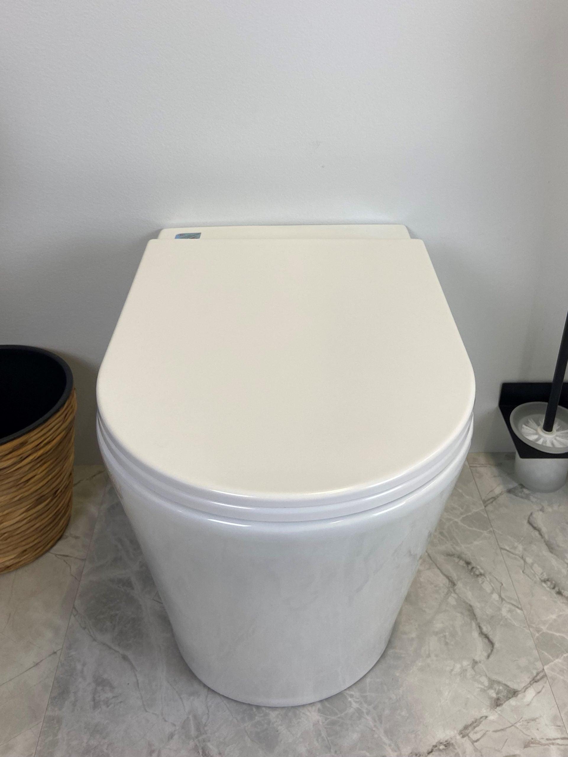 ZARA Rimless In Wall Toilet Suite Pan - Living and Bathroom