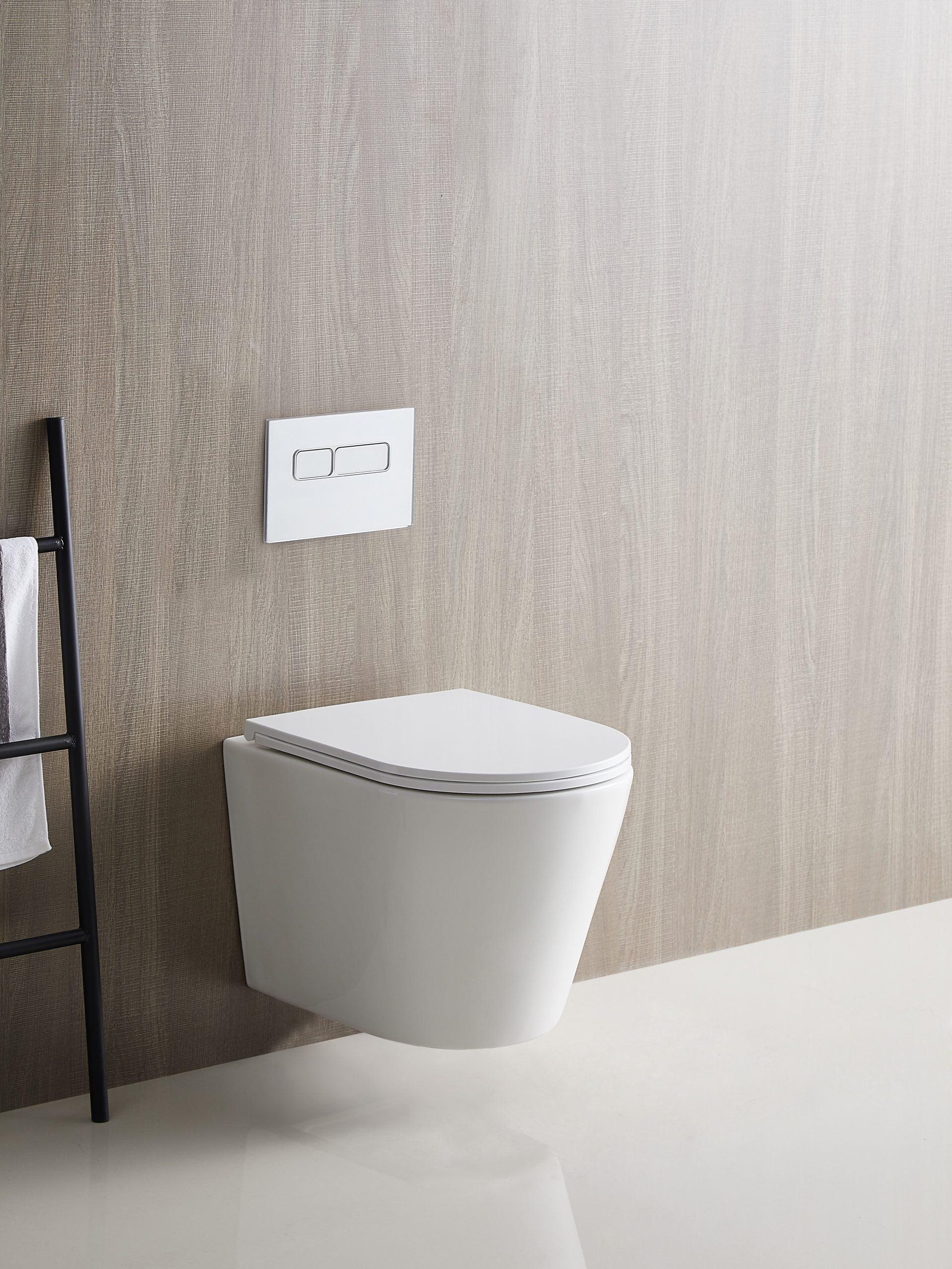ZARA Wall Hung Rimless In Wall Toilet Suite Pan - Living and Bathroom
