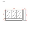 Petra Shaving Cabinet 1200*155*750mm