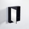 Petra Shaving Cabinet 600*155*750mm