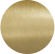 Brushed Brass
